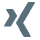 icon xing